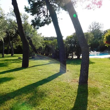 Wonderful With Pool On Albarella ヴィラ Albarella Island